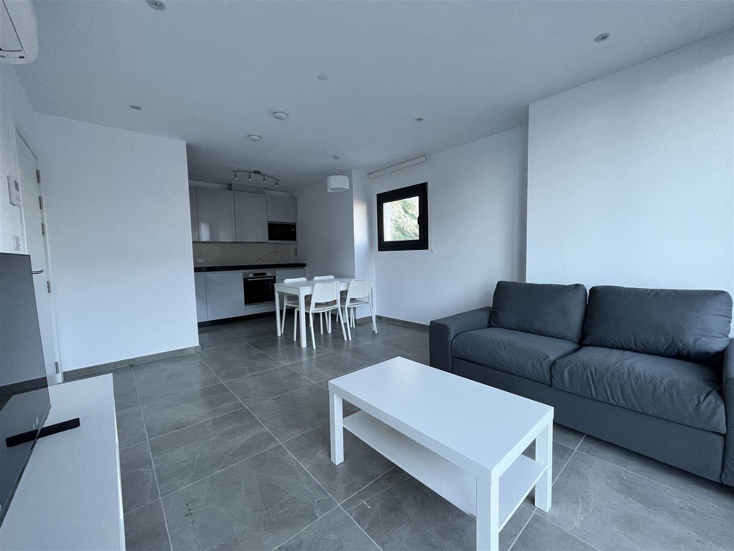 1 Bed Apartment